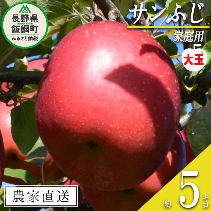 【ふるさと納税】 りんご サンふじ ( 大玉 ) 家庭用 5