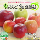 【ふるさと納税】 おまかせりんご定期便 3kg × 3回 訳あり ファームたんぽぽ 沖縄県への配送不可 〔 果物 フルーツ 林檎 長野 予約 農家直送 不揃い 規格外 3キロ 定期便 〕【令和7年度収穫分】 発送:2025年10月上旬〜(4)