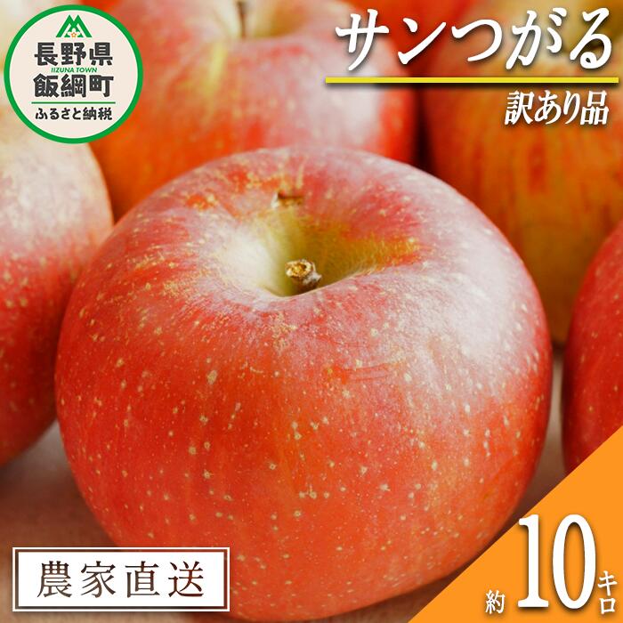 【ふるさと納税】 りんご サンつがる 訳あり 10kg 中村