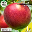 名称 りんご（紅玉） 内容量 秀〜特秀　4.5kg 産地 長野県飯綱町産 配送方法 常温 事業者名 中村ファーム（中村りんご農園） 発送時期 2024年9月下旬頃から2024年10月下旬頃までお申込み順に発送予定 備考 ※沖縄県への配送はいたしかねます。 ※発送時期は、例年の発送時期を目安に記載しております。 　その年の天候や生育状況により、予告なくお届け時期が前後する場合がありますがご了承ください。 ※りんごの個体差や水分量などにより、表示されている商品規格より1割程度、内容量が少なくなることがありますのでご了承ください。 ※りんごは果汁の多い果実のため、外観上は鮮度が保たれていても、稀に果肉内部に褐変症状が出てしまう場合がございます。 　外見から見分けることが難しい症状のため、あらかじめご了承ください。 ※生ものですので冷蔵庫にて保存のうえ、お早めにお召し上がりください。 ※収穫時期が限られているため、日時指定はお受けいたしかねます。 ※画像はイメージです。 ・ふるさと納税よくある質問はこちら ・寄附申込みのキャンセル、返礼品の変更・返品はできません。あらかじめご了承ください。【ふるさと納税】 りんご 紅玉 秀 ～ 特秀 4.5kg 中村ファーム ( 中村りんご農園 ) 沖縄県への配送不可 令和6年度収穫分 長野県 飯綱町 〔 信州 果物 フルーツ リンゴ 林檎 長野 16000円 予約 農家直送 〕発送時期：2024年9月下旬～2024年10月下旬 事業者からのコメント 紅玉は、果実は小さめで果皮は濃赤色をしています。 しっかりとした酸味の中に甘さを感じられるリンゴで、煮崩れしにくいため加工や料理にも適しています。 酸味が強めのりんごがお好みの方には、そのまま生食でもお楽しみいただけます。 中村ファーム（中村りんご農園）は、飯綱町（旧三水村）標高600mの土地に畑があります。 寒暖差があるので、りんご栽培に適していて、とても美味しい果実ができます。 収穫は早採りせず、味が乗ってからの収穫・出荷を心がけております。 ・ふるさと納税よくある質問はこちら ・寄附申込みのキャンセル、返礼品の変更・返品はできません。寄附者の都合で返礼品が届けられなかった場合、返礼品等の再送はいたしません。あらかじめご了承ください。 ・この商品はふるさと納税の返礼品です。スマートフォンでは「買い物かごに入れる」と表記されておりますが、寄附申込みとなりますのでご了承ください。