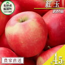 【ふるさと納税】 りんご 紅玉 訳あり 4.5kg 中村ファ