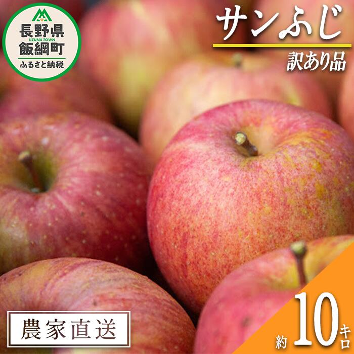 【ふるさと納税】 りんご サンふじ 訳あり 10kg 中村フ