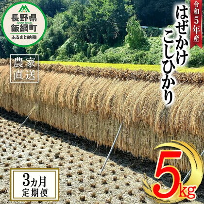 米 はぜかけ こしひかり 5kg × 3回 〔 3か月 定期便 〕( 令和5年産 ) 増田さんちのお米 沖縄県への配送不可 長野県 飯綱町 〔 コシヒカリ 白米 精米 お米 信州 予約 農家直送 〕発送時期：2023年11月上旬～ [お届け3回 (**)]