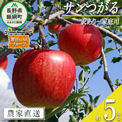 りんご サンつがる 訳あり 5kg 増田さんちのりんご 沖縄県への配送不可 令和6年度収穫分 長野県 飯綱町 〔 信州 果物 フルーツ リンゴ 林檎 長野 予約 農家直送 12000円 〕発送時期：2024年8月下旬～2024年9月中旬