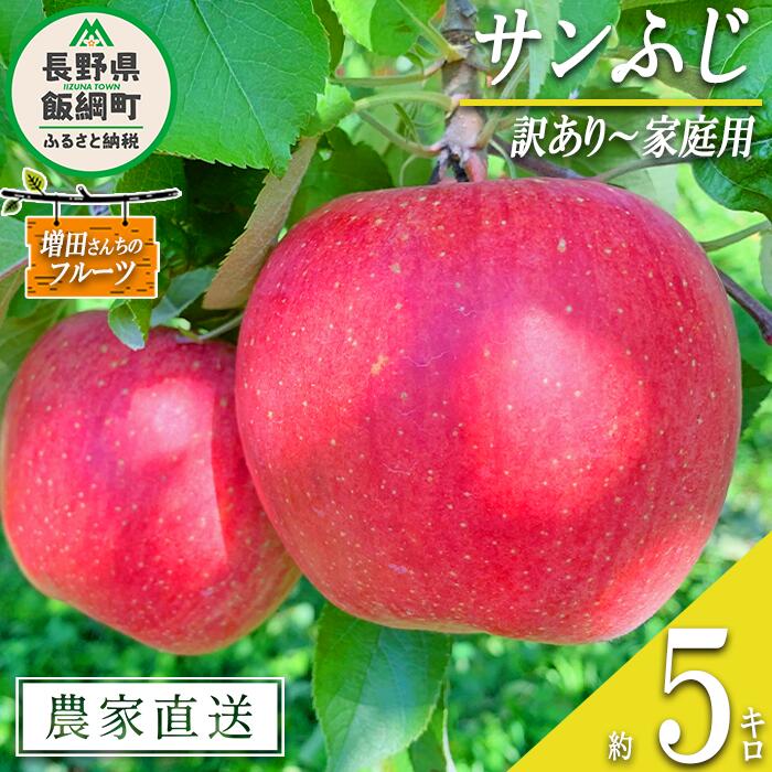 【ふるさと納税】 りんご サンふじ 訳あり 5kg 増田さん