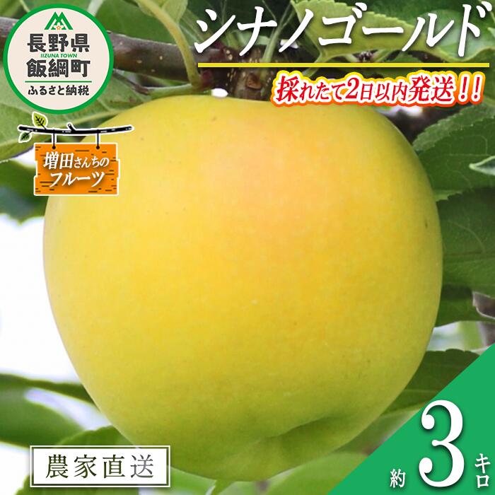 【ふるさと納税】 りんご シナノゴールド 家庭用 3kg 採れたてを発送 増田さんちのりんご 沖縄県への配送不可 令和5年度収穫分 長野県 飯綱町 【 信州 果物 フルーツ リンゴ 林檎 長野 予約 農家直送 】発送時期：2023年11月上旬～2023年11月下旬 {**}