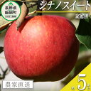 【ふるさと納税】 りんご シナノスイート 家庭用 5kg ヤ
