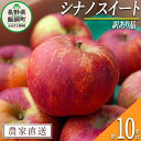  りんご シナノスイート 訳あり 10kg ヤマハチ農園 沖縄県への配送不可 令和6年度収穫分 BLOF理論栽培 長野県 飯綱町 〔 傷 不揃い リンゴ 林檎 果物 フルーツ 信州 長野 18000円 予約 農家直送 〕発送時期：2024年10月上旬～2024年11月上旬 {*}