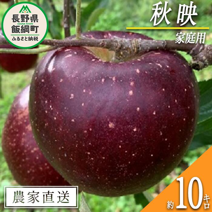 【ふるさと納税】 りんご 秋映 家庭用 10kg ファームト