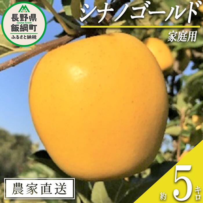 【ふるさと納税】 りんご シナノゴールド 家庭用 5kg フ