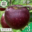 【ふるさと納税】 りんご 秋映 家庭用 3kg ファームトヤ 沖縄県への配送不可 令和7年度収穫分 長野県 飯綱町 〔 信州 果物 フルーツ リンゴ 林檎 あきばえ 秋映え りんご3兄弟 長野 11000円 予約 農家直送 〕発送時期:2025年10月上旬~2025年10月下旬 {**}