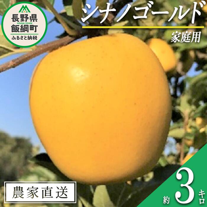 りんご シナノゴールド 家庭用 3kg ファームトヤ 沖縄県への配送不可 令和6年度収穫分 長野県 飯綱町 〔 信州 果物 フルーツ リンゴ 林檎 長野 11000円 予約 農家直送 〕発送時期:2024年11月中旬〜2024年12月下旬 {**}