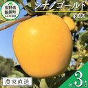 【ふるさと納税】 りんご シナノゴールド 家庭用 3kg ファームトヤ 沖縄県への配送不可 令和6年度収穫分 長野県 飯綱町 〔 信州 果物 フルーツ リンゴ 林檎 長野 11000円 予約 農家直送 〕発送時期：2024年11月中旬～2024年12月下旬 {**} その1