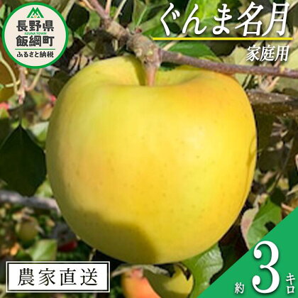 りんご ぐんま名月 家庭用 3kg ファームトヤ 沖縄県への配送不可 令和6年度収穫分 長野県 飯綱町 〔 信州 果物 フルーツ リンゴ 林檎 名月 長野 12000円 予約 農家直送 〕発送時期：2024年11月中旬～2024年12月下旬 {**}