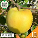 【ふるさと納税】 りんご ぐんま名月 家庭用 10kg ファームトヤ 沖縄県への配送不可 令和6年度収穫分 長野県 飯綱町 〔 信州 果物 フルーツ リンゴ 林檎 名月 長野 予約 農家直送 〕発送時期：2024年11月中旬～2024年12月下旬