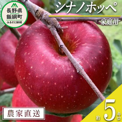 りんご シナノホッペ 家庭用 5kg ファームトヤ 沖縄県への配送不可 令和6年度収穫分 長野県 飯綱町 〔 信州 果物 フルーツ リンゴ 林檎 長野 15000円 予約 農家直送 〕発送時期：2024年11月上旬～2024年11月下旬 {**}