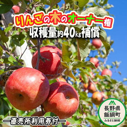 りんごの木オーナー ＜ サンふじの木 ＞ 家庭用 ～ 特秀 約 40kg 補償 直売所利用券つき ネコポスでお届け 長野県 飯綱町 〔 サンふじ りんごの木 オーナー 収穫 体験 林檎 リンゴ りんご 信州 長野 90000円 〕 収穫期間：2024年11月中旬～2024年12月初旬