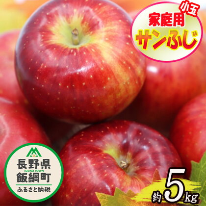 【令和6年度収穫分】小ささに訳あり サンふじ（小玉）家庭用5kg　※沖縄および離島への配送不可　※2024年12月中旬頃から順次発送予定　大友農場　エコファーマー認定　長野県飯綱町