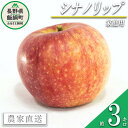 【ふるさと納税】 りんご シナノリップ 家庭用 3kg 大友農場 エコファーマー認定 沖縄県への配送不可 令和5年度収穫分 長野県 飯綱町 【 信州 果物 フルーツ リンゴ 林檎 長野 予約 農家直送 】発送時期：2023年8月中旬～2023年8月下旬 {**}･･･