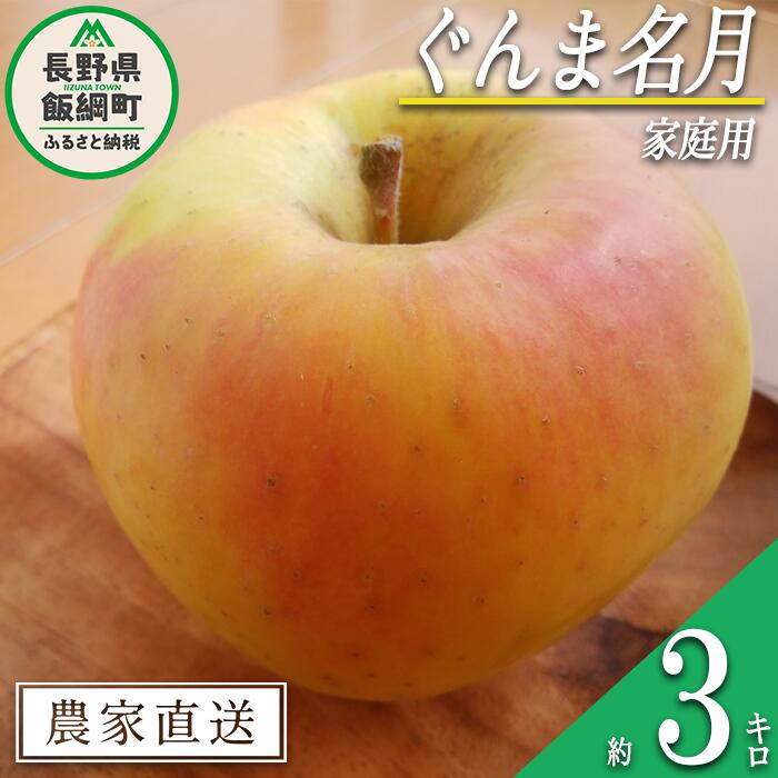 【ふるさと納税】 りんご いいづな産 ぐんま名月 家庭用 3
