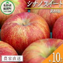 【ふるさと納税】 りんご シナノスイート 訳あり 10kg マルカズりんご農園 沖縄県への配送不可  ...