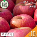 【ふるさと納税】 りんご サンふじ 訳あり 10kg マルカズりんご農園 沖縄県への配送不可 令和7年度収穫分 長野県 飯綱町 〔 傷 不揃い リンゴ 林檎 果...