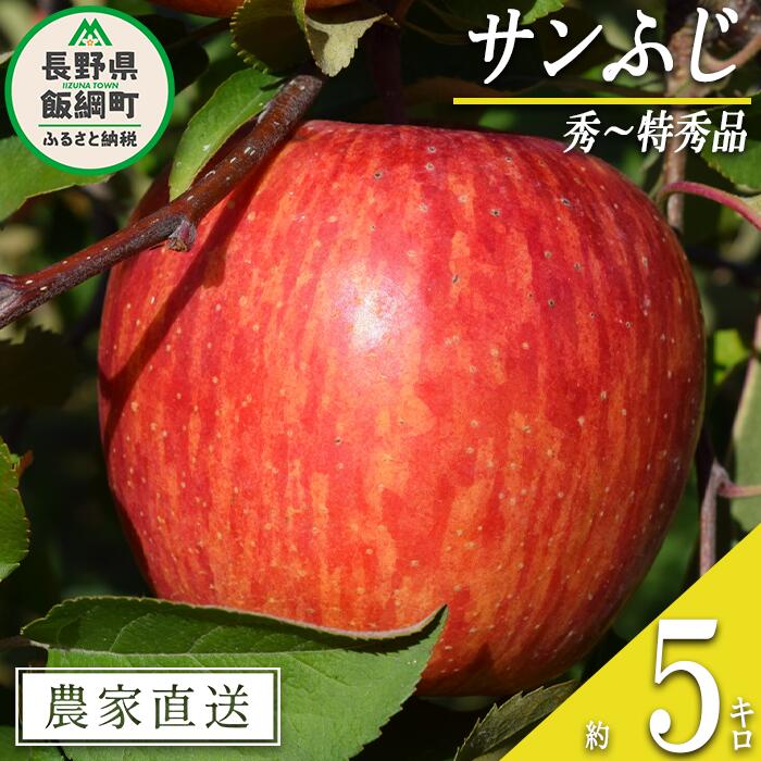 【ふるさと納税】 りんご サンふじ 秀 ～ 特秀 5kg マ