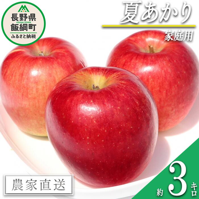 【ふるさと納税】 りんご 夏あかり 家庭用 3kg マルカズりんご農園 沖縄県への配送不可 令和7年度収穫分 長野県 飯綱町 〔 信州 果物 フルーツ リンゴ 林檎 長野 12000円 予約 農家直送 〕発送時期:2025年8月中旬〜2025年8月下旬