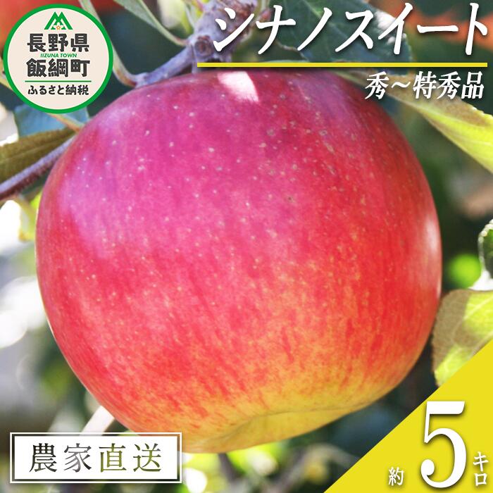 りんご シナノスイート 秀 〜 特秀 5kg マルカズりんご農園 沖縄県への配送不可 令和6年度収穫分 長野県 飯綱町 〔 信州 果物 フルーツ リンゴ 林檎 長野 16000円 予約 農家直送 〕発送時期:2024年10月中旬〜2024年11月上旬