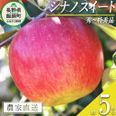 【ふるさと納税】 りんご シナノスイート 秀 ～ 特秀 5kg マルカズりんご農園 沖縄県への配送不可 令和6年度収穫分 長野県 飯綱町 〔 信州 果物 フルーツ リンゴ 林檎 長野 16000円 予約 農家直送 〕発送時期：2024年10月中旬～2024年11月上旬