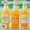 17位! 口コミ数「0件」評価「0」 信州産 りんごジュース 1000ml × 3本 関農園 沖縄県への配送不可 エコファーマー認定 長野県 飯綱町 〔 信州 林檎 リンゴ り･･･ 