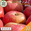 【ふるさと納税】 りんご サンふじ 訳あり 10kg 関農園 沖縄県への配送不可 エコファーマー認定 ...