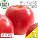 【ふるさと納税】 りんご サンつがる 家庭用 5kg 関農園
