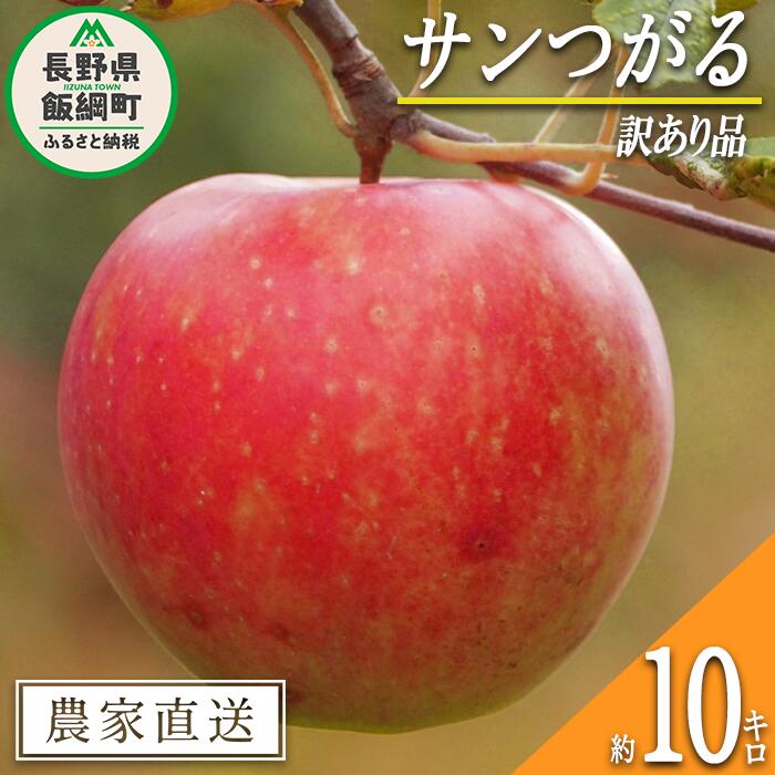 【ふるさと納税】 りんご サンつがる 訳あり 10kg 関農園 沖縄県への配送不可 エコファーマー認定 令和6年度収穫分 長野県 飯綱町 〔 傷 不揃い リンゴ 林檎 果物 フルーツ 信州 長野 16000円 予約 農家直送 〕発送時期：2024年8月下旬～2024年9月中旬