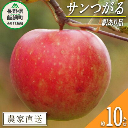 りんご サンつがる 訳あり 10kg 関農園 沖縄県への配送不可 エコファーマー認定 令和6年度収穫分 長野県 飯綱町 〔 傷 不揃い リンゴ 林檎 果物 フルーツ 信州 長野 16000円 予約 農家直送 〕発送時期：2024年8月下旬～2024年9月中旬