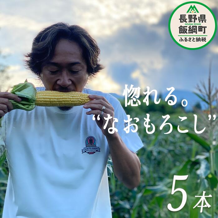 【ふるさと納税】 生で食べられる とうもろこし 5本 株式会社みみずや 沖縄県への配送不可 令和6年度収穫分 長野県 飯綱町 〔 信州 野菜 甘い トウモロコシ コーン とうきび 産地直送 長野 140…