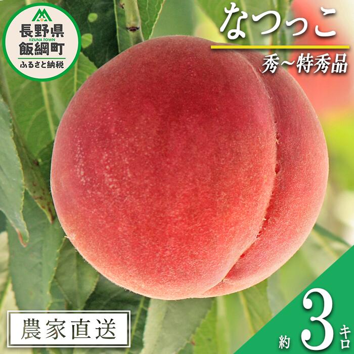 【ふるさと納税】 もも なつっこ 秀 ～ 特秀 約 3kg 大垣農園 配送先は本州限定 令和5年度収穫分 長野県 飯綱町 〔 信州 果物 フルーツ モモ 桃 川中島 白桃 あかつき オリジナル品種 長野 13000円 予約 農家直送 〕発送時期：2023年8月中旬～2023年8月下旬のサムネイル