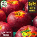 【ふるさと納税】 【令和6年度先行予約品】りんご 信州 訳あり 果物 10kg 5kg 3kg 秋映 長野 交換保証 感謝りんご 光…