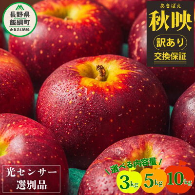 楽天ふるさと納税　【ふるさと納税】 【令和6年度先行予約品】りんご 信州 訳あり 果物 10kg 5kg 3kg 秋映 長野 交換保証 感謝りんご 光センサー くだもの 不揃い 規格外 傷 傷あり 家庭用 フルーツ 林檎 5キロ あきばえ 10月 10月発送 R6年10月〜発送予定 長野県 飯綱町