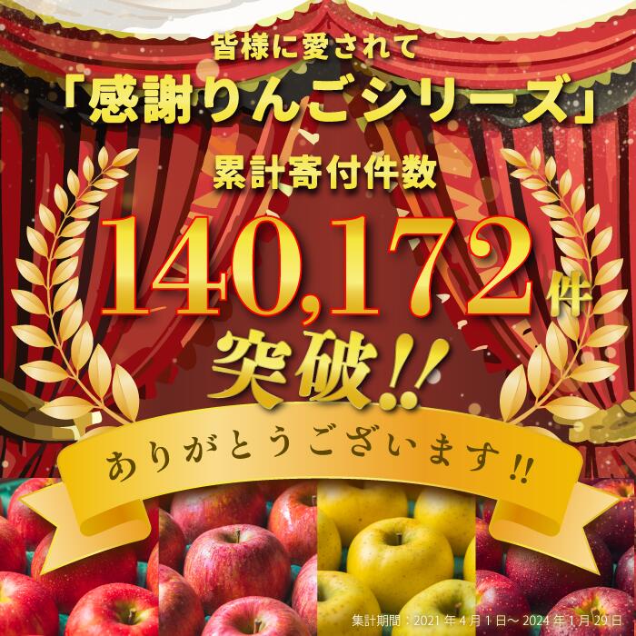 【ふるさと納税】 長野県 飯綱 りんご 訳あり 果物 5kg サンふじ 長野 わけあり くだもの フルーツ 交換保証 不揃い 規格外 傷 光センサー 信州 林檎 感謝りんご 5キロ 人気 ナンバー1 R6年12月 から R7年1月発送 【令和6年度予約品】 飯綱町