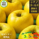 【ふるさと納税】 りんご 信州 【令和6年度先行予約品】 訳あり 10kg 5kg 3kg 果物 長野 シナノゴールド 交換保証 感謝りんご 光センサー 不揃い 規格外 傷あり 家庭用 フルーツ 林檎 5キロ 人気 黄色 11月 11月発送 R6年11月～発送予定 長野県 飯綱町