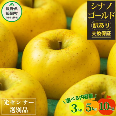 楽天ふるさと納税　【ふるさと納税】 りんご 信州 【令和6年度先行予約品】 訳あり 10kg 5kg 3kg 果物 長野 シナノゴールド 交換保証 感謝りんご 光センサー 不揃い 規格外 傷あり 家庭用 フルーツ 林檎 5キロ 人気 黄色 11月 11月発送 R6年11月～発送予定 長野県 飯綱町