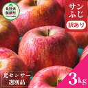 【ふるさと納税】 りんご サンふじ 3kg 高評価★4.63 長野県産 1月発送 訳あり 光センサー 「感謝りんご」 糖度12以上 【 果物 くだもの 不揃い 6000 フルーツ 林檎 3キロ 規格外 糖度保証 家庭用 1月 長野 飯綱町 6000円 】発送R5年1月11日〜31日 {*}･･･