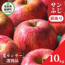 【ふるさと納税】 訳あり りんご 10Kg サンふじ 交換保