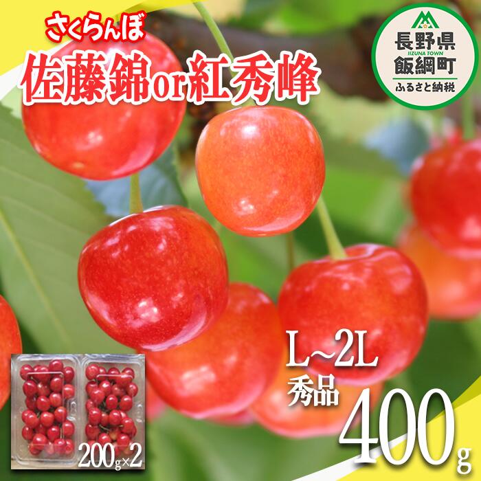 信州産 さくらんぼ ＜L～2Lサイズ＞ 秀品 200g × 2パック 佐藤錦 または 紅秀峰 ※配送先は本州限定 長野県 飯綱町 〔 信州 サクランボ チェリー 果物 フルーツ 14000円 〕発送：2024年6月中旬～7月中旬まで