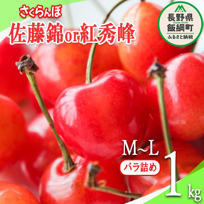 【ふるさと納税】信州産 さくらんぼ ＜M～Lサイズ＞ 秀品 1kg バラ詰め 佐藤錦 または 紅秀峰 配送先は本州限定 長野県 飯綱町 〔 信州 サクランボ チェリー 果物 フルーツ 21000円 〕発送：20…