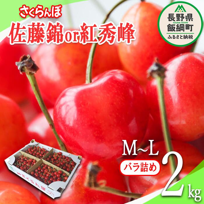 【ふるさと納税】信州産 さくらんぼ ＜M～Lサイズ＞ 秀品 2kg バラ詰め 佐藤錦 または 紅秀峰 配送先は本州限定 長野県 飯綱町 〔 信州 サクランボ チェリー 果物 フルーツ 33000円 〕発送：20…