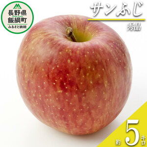 【ふるさと納税】 りんご サンふじ 秀 5kg 光センサー選別品 ながの農業協同組合 沖縄県への配送不可 令和7年度収穫分 長野県 飯綱町 〔 信州 果物 フルーツ リンゴ 林檎 長野 14500円 予約 〕発送時期:2025年12月上旬〜2025年12月下旬 {***}