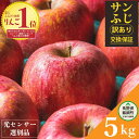 【ふるさと納税】 長野県 飯綱 りんご 訳あり 果物 5kg サンふじ 長野 わけあり くだもの フルーツ 交換保証 不揃い 規格外 傷 光センサー 信州 林檎 感謝りんご 5キロ 人気 ナンバー1 R6年12…