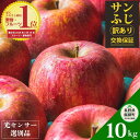 【ふるさと納税】 りんご 長野県 飯綱 大容量 10Kg 果物 訳あり 信州 サンふじ 交換保証 長野 感謝りんご 【令和6年度先行予約品】 光センサー フルーツ 不揃い 傷 くだもの 10キロ 12月発送 1月発送 R6年12月〜R7年1月発送 長野県 飯綱町